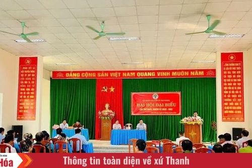 Tam Chung: Xây dựng tổ chức Hội Người cao tuổi vững mạnh