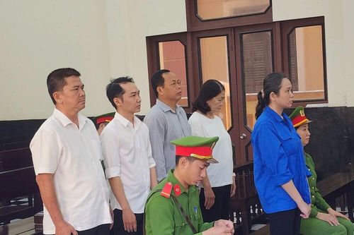 Nữ kế toán của Ban Thi đua - Khen thưởng chiếm đoạt số tiền hơn 2,1 tỉ đồng, lãnh 16 năm tù