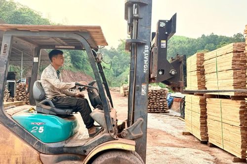 Chế biến gỗ ở xã Thái bình