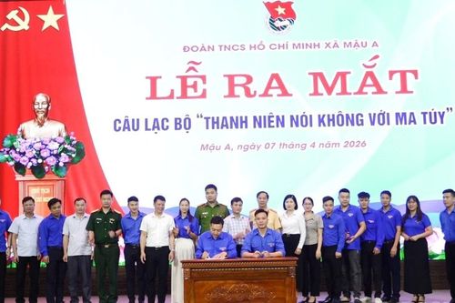 Các địa phương trong tỉnh đồng loạt ra mắt Câu lạc bộ thanh niên nói không với ma túy