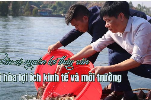 Bảo vệ nguồn lợi thủy sản hài hòa lợi ích kinh tế và môi trường