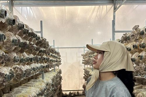 Lâm Đồng phát triển năng lượng xanh - nông nghiệp xanh