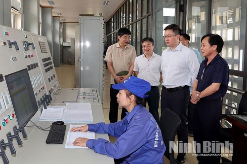 Đồng chí Phó Bí thư Tỉnh ủy Trần Đăng Quỳnh kiểm tra công tác phòng, chống thiên tai tại một số địa phương