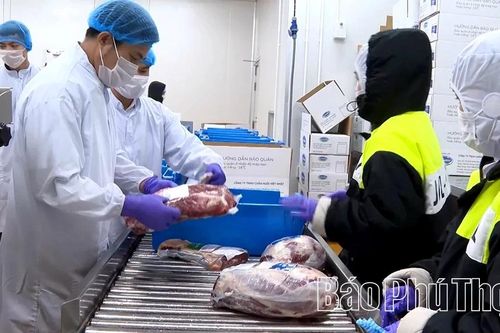 Phú Thọ siết chặt kiểm soát giết mổ động vật, tăng cường kỷ luật công vụ
