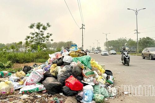 Bất chấp biển cấm, rác vẫn tràn lan tại Km11, đường tỉnh 310