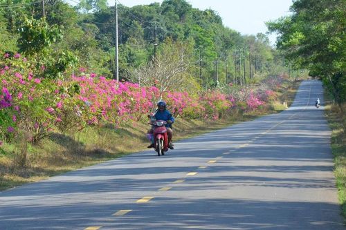 Đồng Nai nâng cấp trục Mã Đà - Vành đai 4 lên 6 làn xe, tăng lực kết nối liên vùng