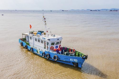 Siết kiểm tra, giám sát, nâng chất lượng dịch vụ bảo đảm an toàn hàng hải