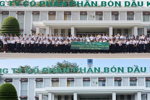 Hành trình nuôi dưỡng tri thức và niềm tự hào tại Nhà máy Đạm Cà Mau