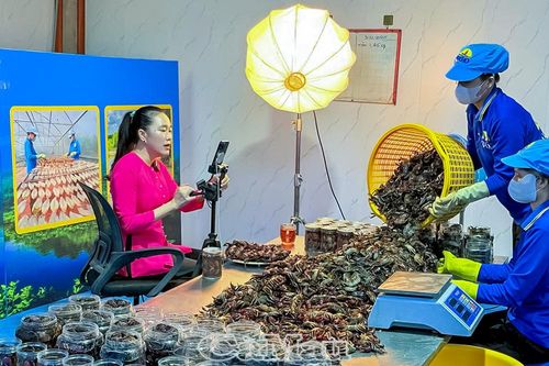 Chuyển đổi số: Nâng cao giá trị nông, thuỷ sản Cà Mau