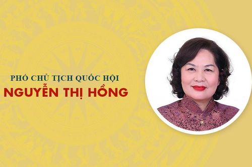 Infographic: Sự nghiệp Phó Chủ tịch Quốc hội khóa XVI Nguyễn Thị Hồng