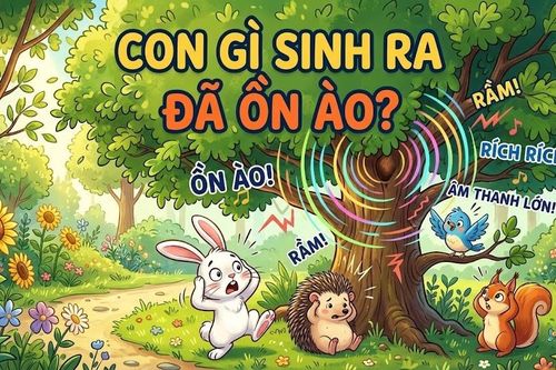 Con gì sinh ra đã ồn ào?