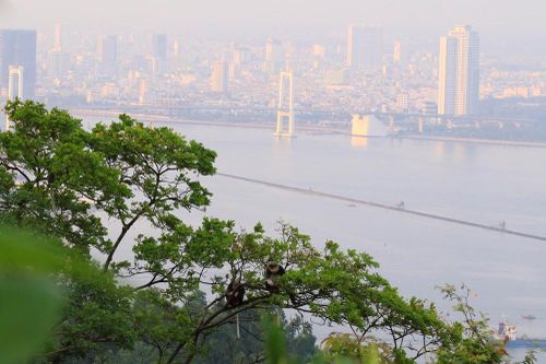 Đà Nẵng hướng tới 'Origin Hub' châu Á: Điểm đến của hành trình chữa lành