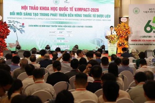 Ba tác động cần đạt được trong phát triển dược liệu bền vững