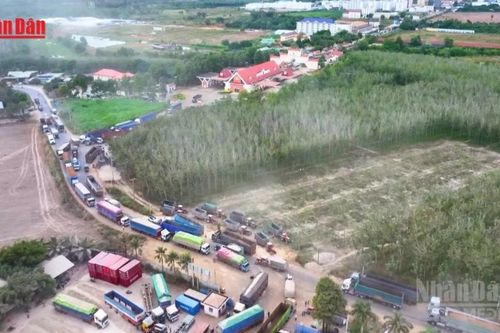 Chính phủ tiếp tục tạm ngưng áp dụng Nghị định 46 về an toàn thực phẩm