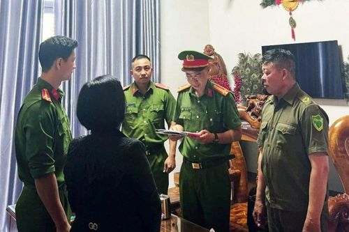 Đắk Lắk: Khởi tố hộ kinh doanh gỗ thu 143 tỷ, nộp thuế 900 nghìn đồng