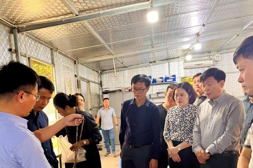 Hà Nội lên kế hoạch bảo tồn, phát huy giá trị di chỉ khảo cổ Vườn Chuối