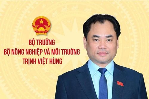 Ông Trịnh Việt Hùng - Tân Bộ trưởng trẻ nhất Chính phủ nhiệm kỳ 2026 - 2031
