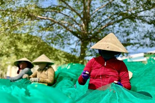Những nụ cười mặn mùi biển tại cảng Hòn Rớ