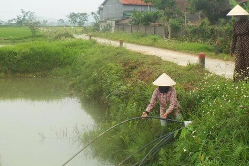 Người dân dùng nước ao hồ để sinh hoạt giữa nắng nóng gay gắt