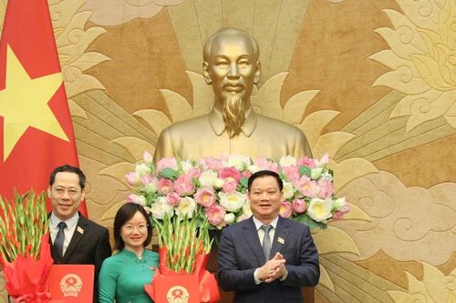 Công bố Nghị quyết phê chuẩn Phó Trưởng đoàn chuyên trách và đại biểu chuyên trách địa phương Đoàn ĐBQH tỉnh Nghệ An