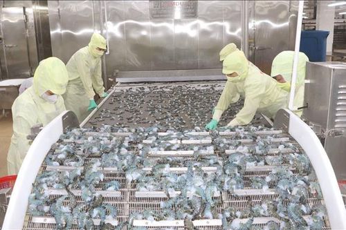 Hội nhập quốc tế 'kích hoạt' động lực tăng trưởng mới cho Cà Mau