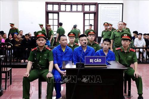 Vận chuyển hơn 74 kg ma túy, 3 bị cáo lĩnh án tù chung thân