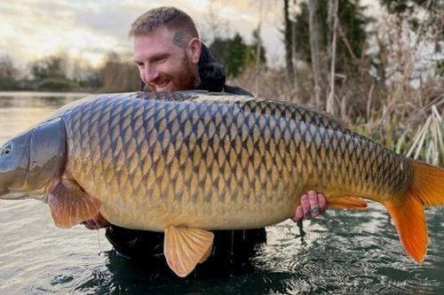 Cần thủ câu được con cá chép khổng lồ nặng gần 29kg