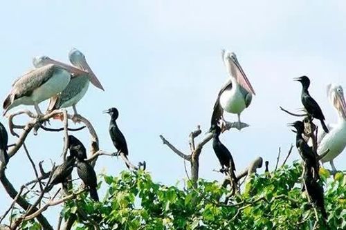 Vườn chim Bạc Liêu sẵn sàng công tác phòng cháy chữa cháy