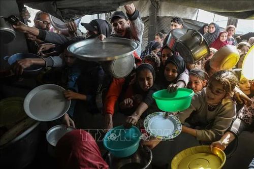 Hội đồng Hòa bình Gaza áp thời hạn chót với Hamas