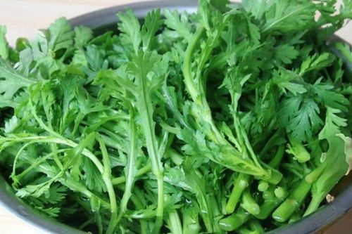 Loại rau rẻ bèo ngoài chợ nhưng cực bổ, nấu đúng là hết sạch nồi cơm