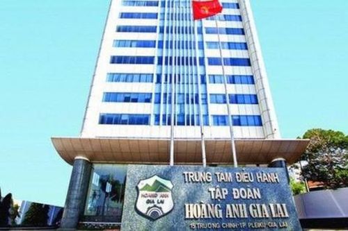 Công ty con của Hoàng Anh Gia Lai vào diện kiểm tra chuyên đề thuế