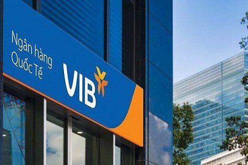 ĐHĐCĐ VIB: Mục tiêu lãi 11.500 tỷ, chia cổ tức tiền mặt và thưởng cổ phiếu tổng tỷ lệ 18,5%