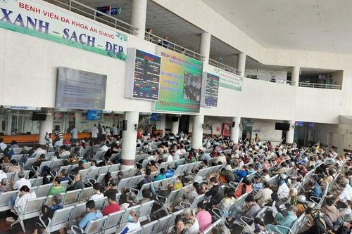 An Giang đấu thầu thuốc tập trung thành công trên 4.118 tỷ đồng
