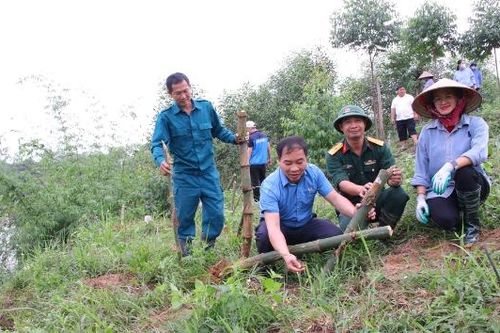 Bắc Ninh: Huy động xã hội hóa trồng rừng, giảm nguồn vốn ngân sách
