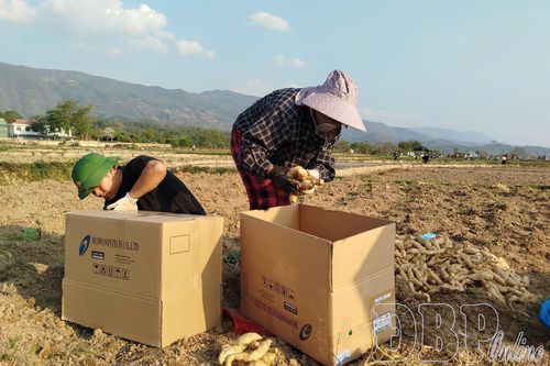 Hiệu quả rõ, nhưng 'nút thắt' còn đó