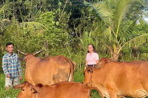 Đồng Nai nâng cao hiệu quả thi hành án hình sự tại cộng đồng và tái hòa nhập cộng đồng giai đoạn 2026-2030