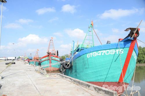 Đồng Tháp: Giá dầu leo thang, ngư dân 'gồng mình' bám biển