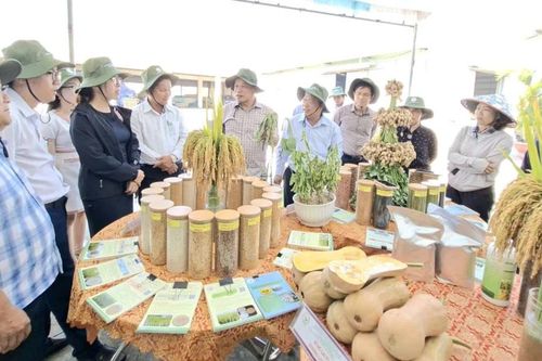 Thúc đẩy ứng dụng khoa học kỹ thuật vào nông nghiệp