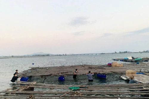 Phường Bắc Cam Ranh: Thêm 1 trường hợp tự giác tháo dỡ công trình nuôi trồng thủy sản vi phạm