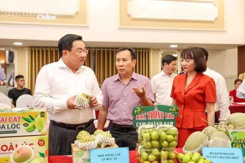 Xem xét xếp hạng 62 sản phẩm OCOP