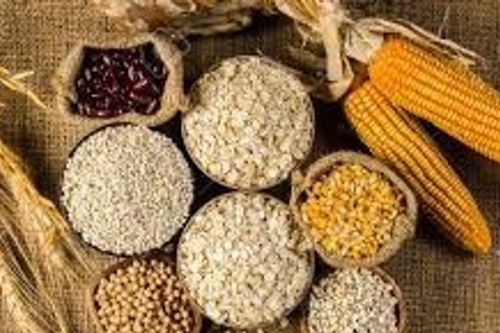 FAO dự báo sản lượng ngũ cốc toàn cầu niên vụ 2025/26 đạt kỷ lục 3.036 triệu tấn
