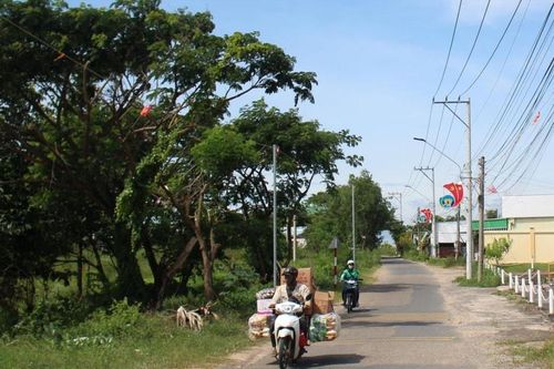 Lâm Đồng phân loại 103 xã xây dựng nông thôn mới giai đoạn 2026 - 2030