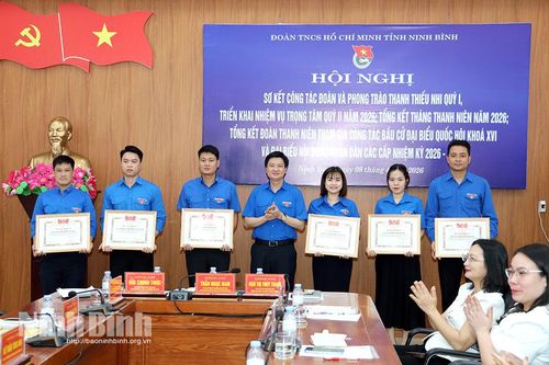 Tỉnh đoàn sơ kết công tác quý I năm 2026