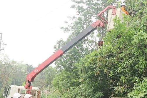 Ra quân giải phóng hành lang an toàn lưới điện phục vụ Giỗ Tổ Hùng Vương
