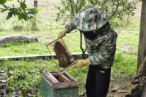Thúc đẩy sinh kế, giảm nghèo bền vững