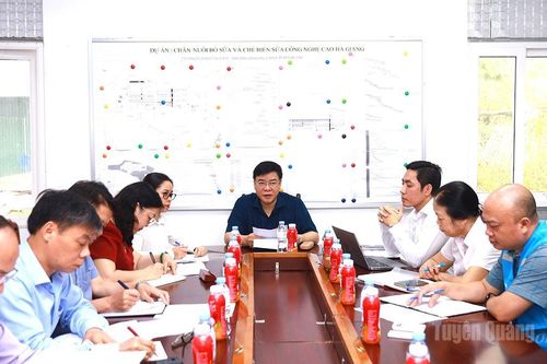 Phó Chủ tịch UBND tỉnh Hoàng Gia Long kiểm tra Dự án chăn nuôi bò sữa và chế biến sữa công nghệ cao Hà Giang