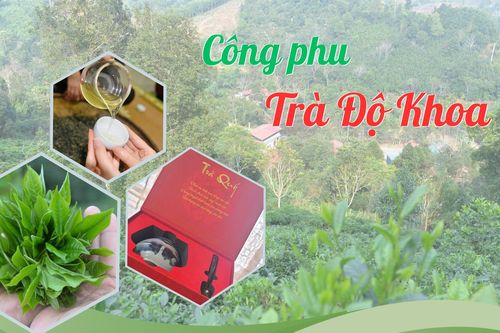 Công phu trà Độ Khoa