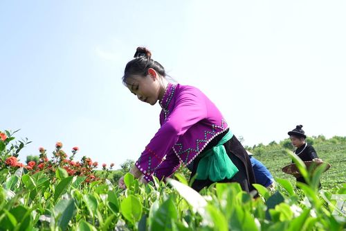 Từ giai điệu đến điểm đến