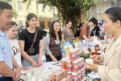'Trụ đỡ' của kinh tế tập thể, hợp tác xã