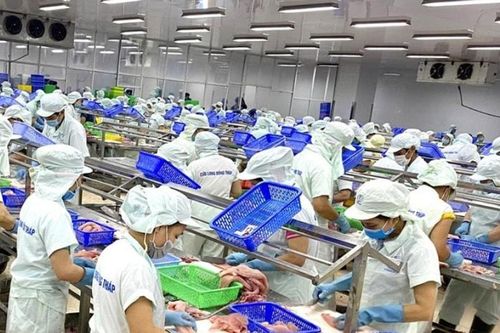 Đồng Tháp thúc đẩy xuất khẩu